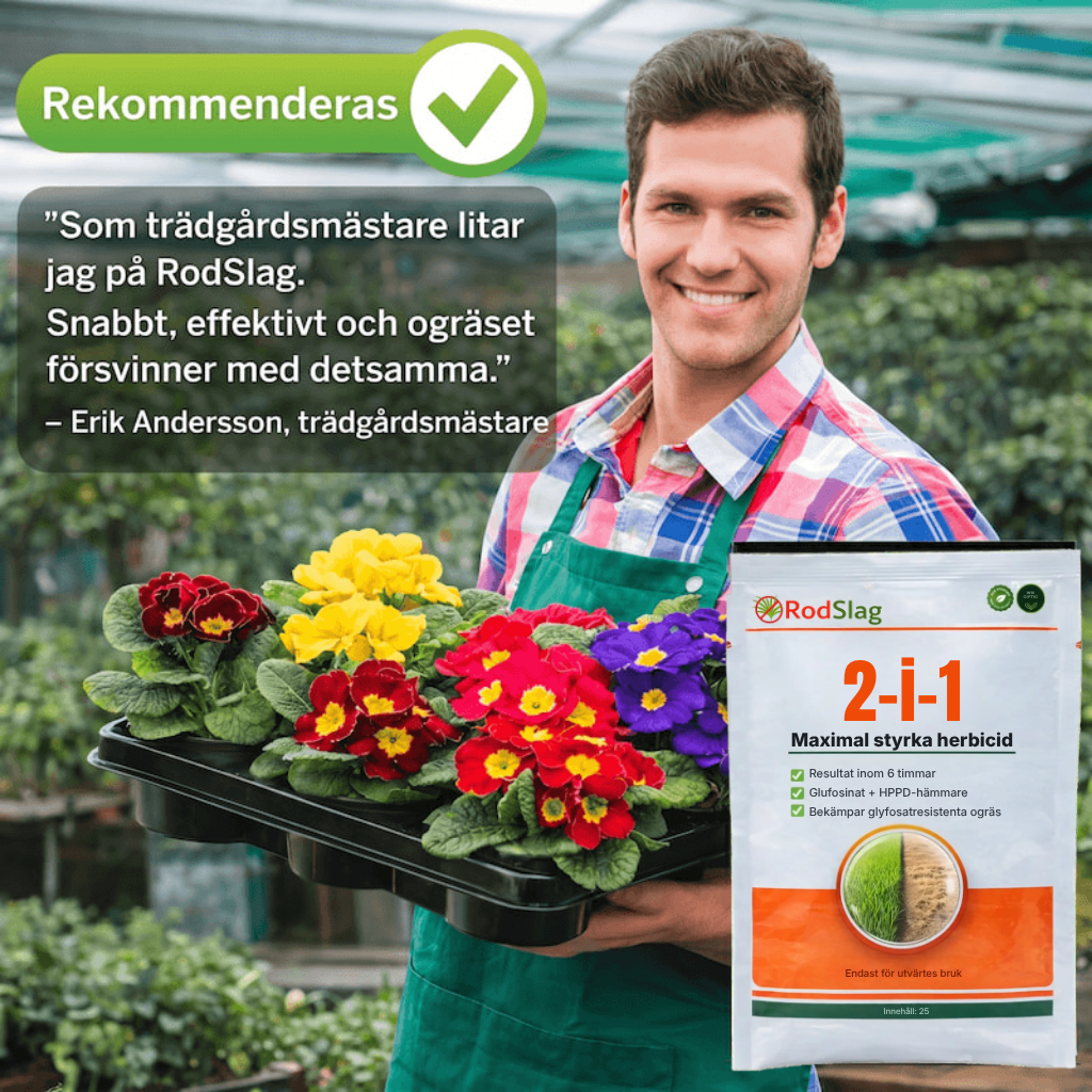 RodSlag | Bli Av Med Envist Ogräs På Bara 6 Timmar!