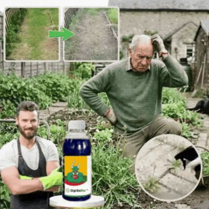 OgräsRix™ ogräsmedel | Tar bort envist ogräs synligt inom 24 timmar!